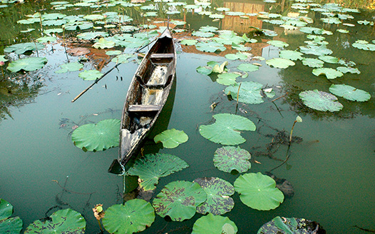 Ayutthaya Garden River Home Gallery