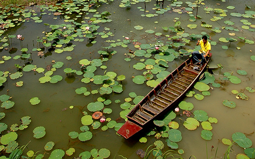 Ayutthaya Garden River Home Gallery